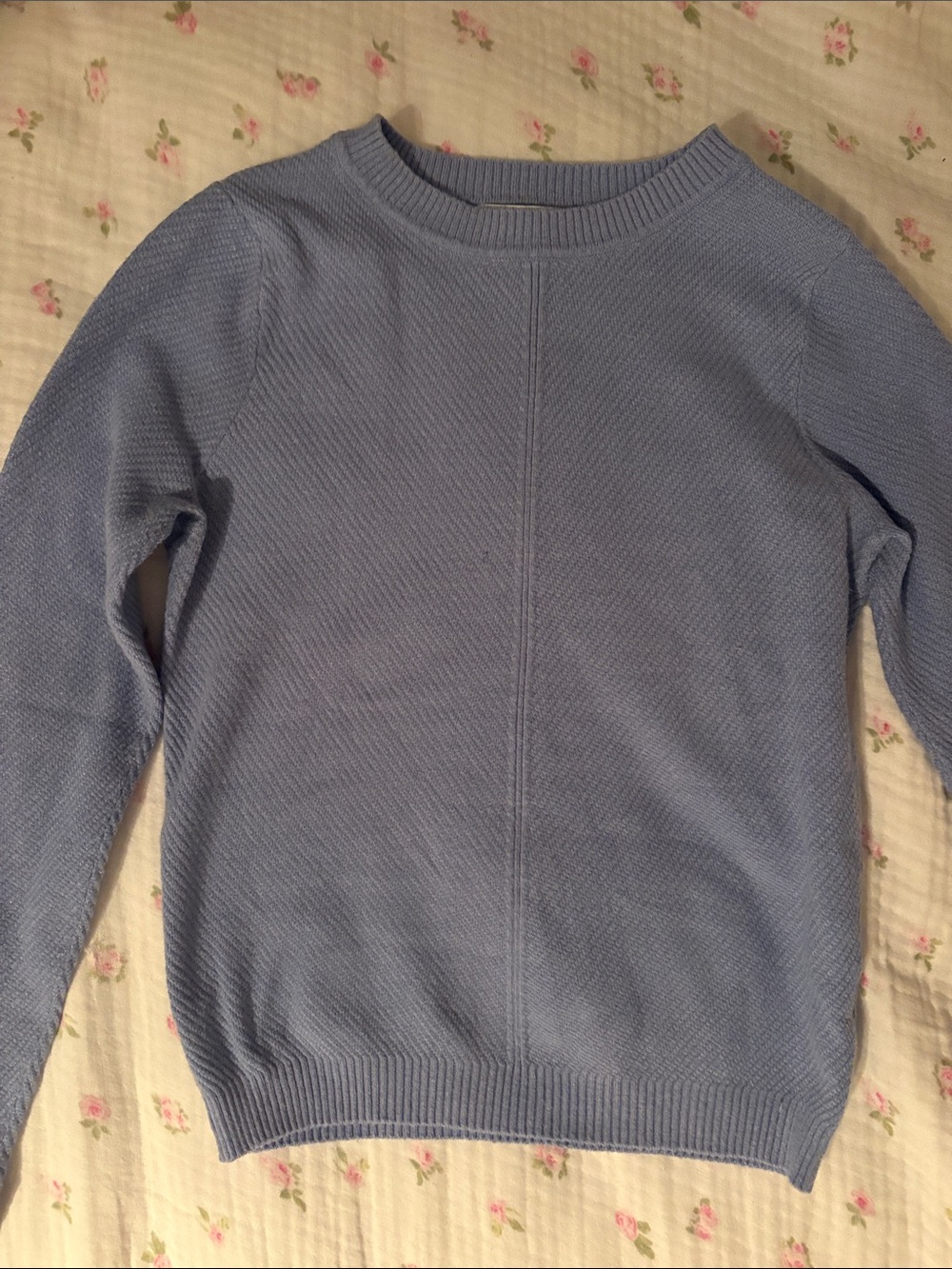 Women's Sky Blue Crewneck Knit Sweater